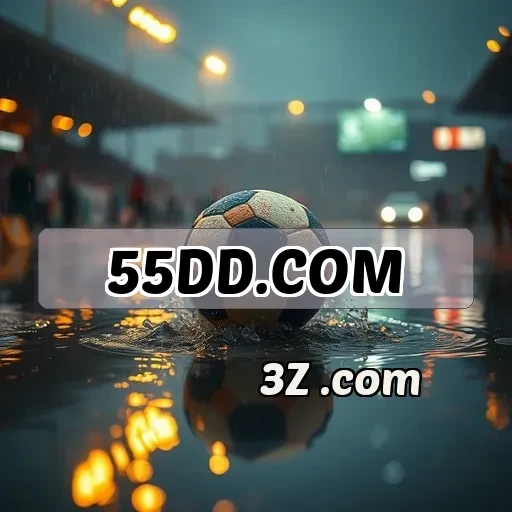 55dd.com: Bônus Incríveis Que Você Não Pode Perder!