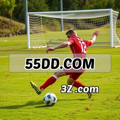 55dd.com: Segurança e Proteção nas Apostas Online para Você!